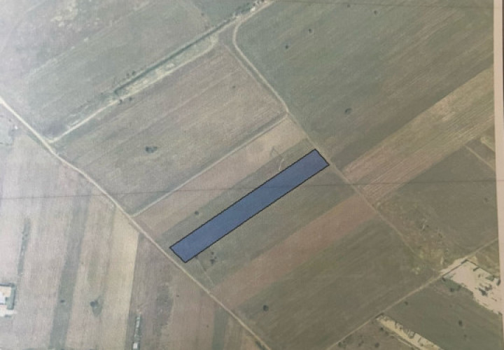 Vanzare | Teren Intravilan 5000 mp | Str. Viitorului |